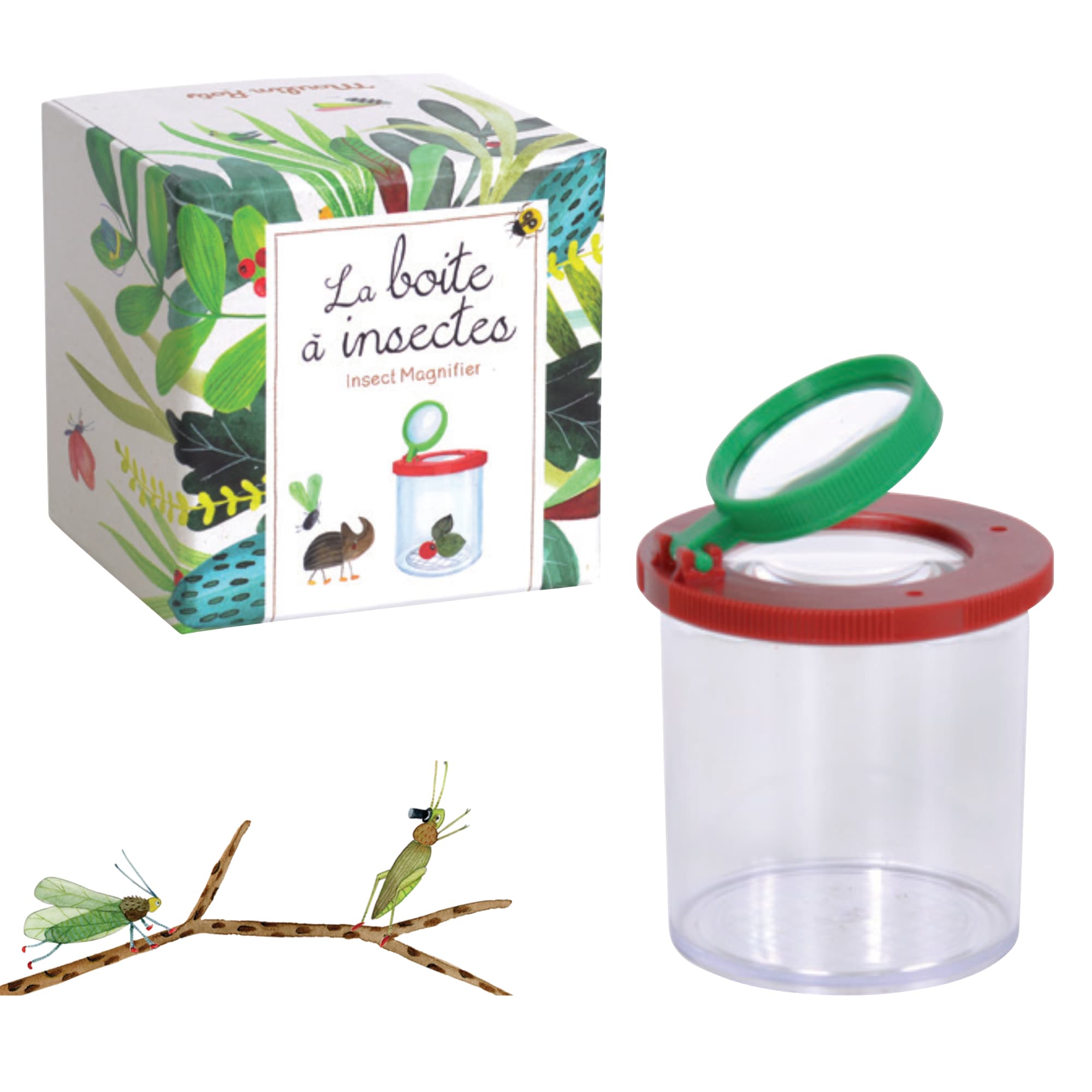 SYEYCW 16 Pezzi Scatola di Insetto, Scatola per Lente d'Ingrandimento per Insetti, Scatola Osservazione Insetti, Trasparenti Cattura Insetti, per l'Esplorazione della Natura e Collezione di Insetti SYEYCW 16 Pezzi Scatola di Insetto, Scatola per Lente d'Ingrandimento per Insetti, Scatola Osservazione Insetti, Trasparenti Cattura Insetti, per l'Esplorazione della Natura e Collezione di Insetti