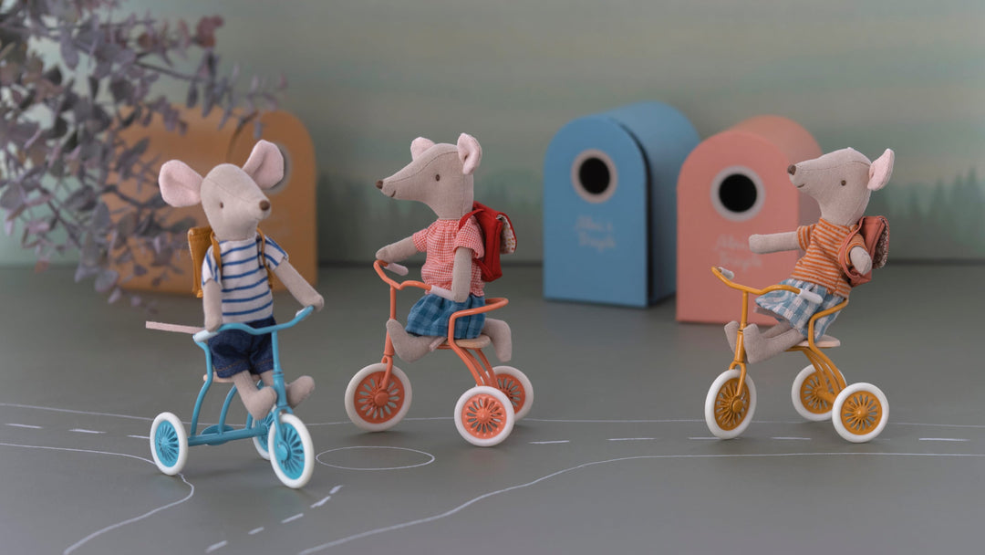 I topi vanno in triciclo !