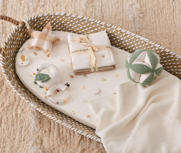 Fabric Sensory Ball, Farm