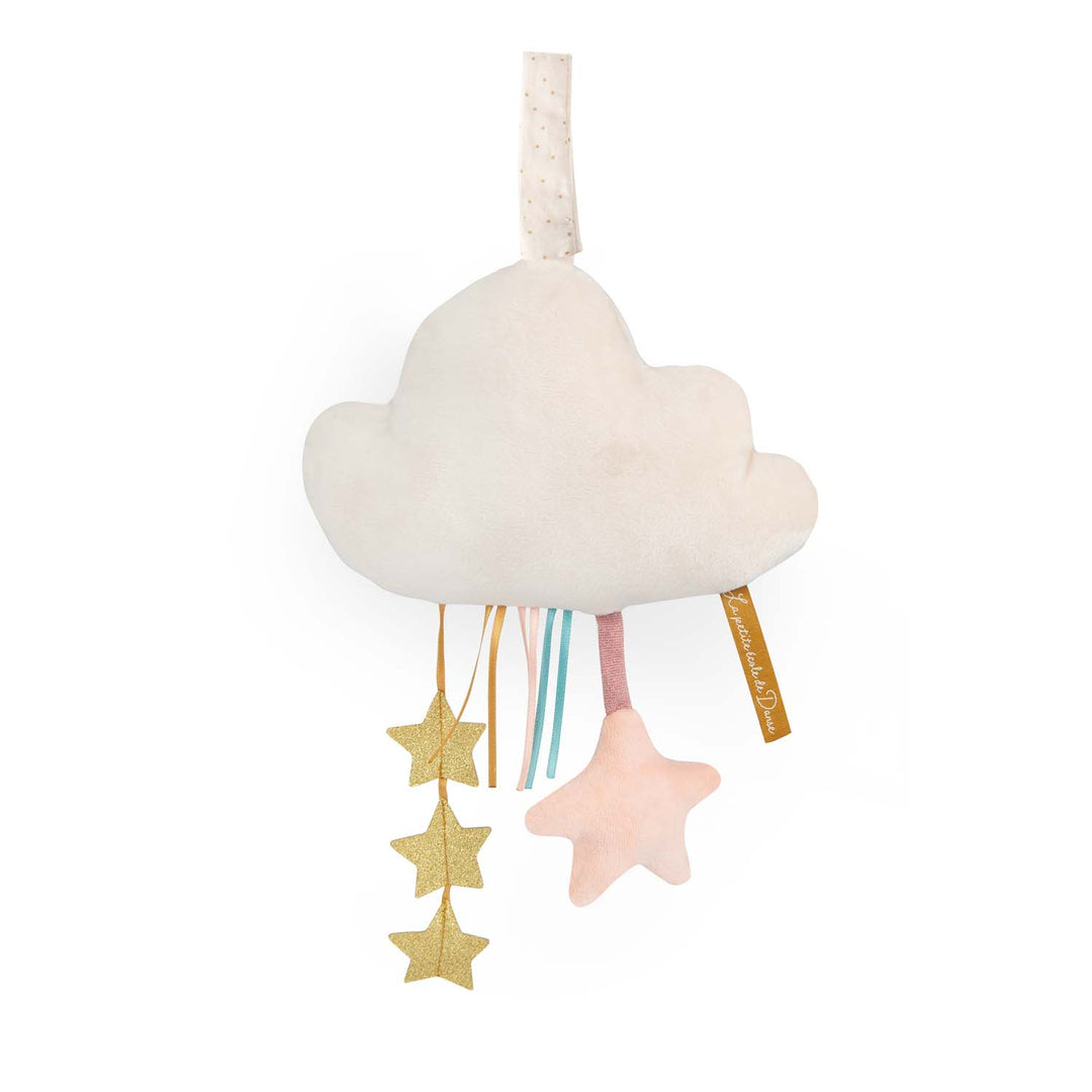 Luminous cloud with hanging activities