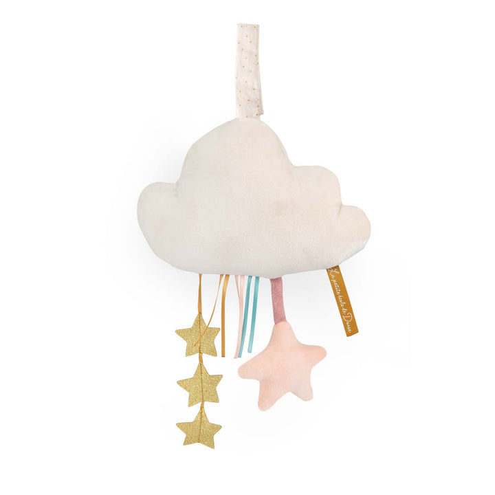 Luminous cloud with hanging activities
