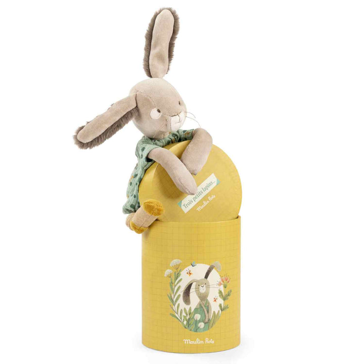 Gift Boxed Puppet, Sage Bunny