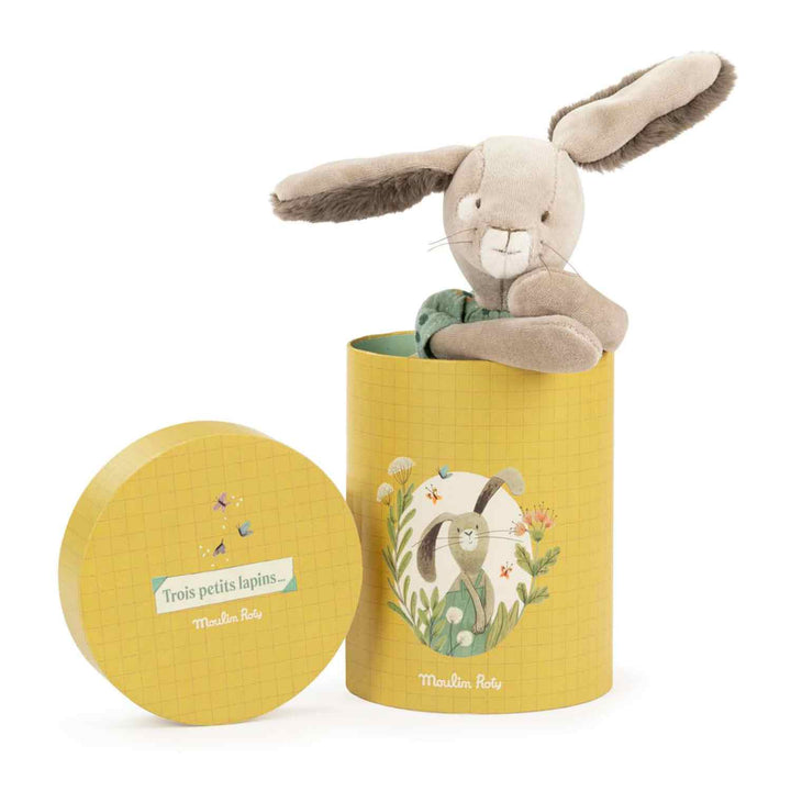 Gift Boxed Puppet, Sage Bunny