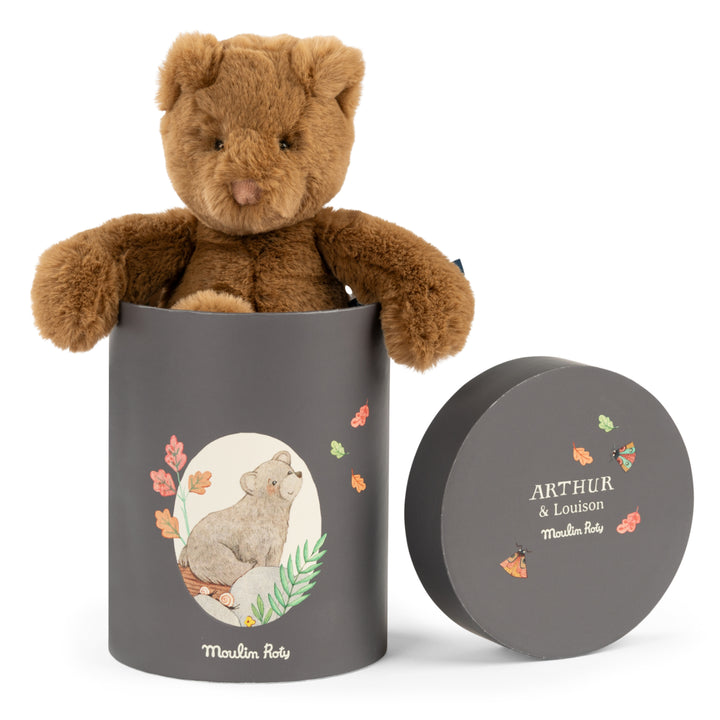 Gift Boxed Plush, Arthur Bear