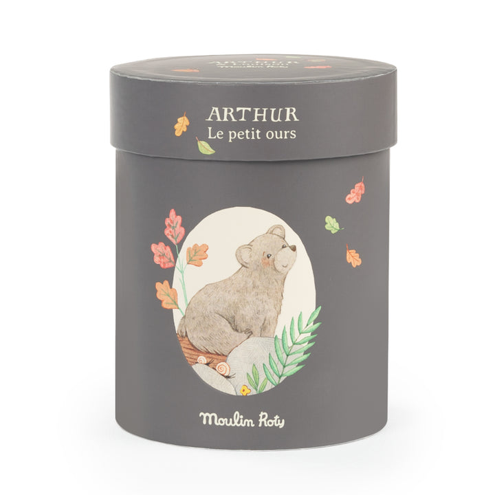 Gift Boxed Plush, Arthur Bear