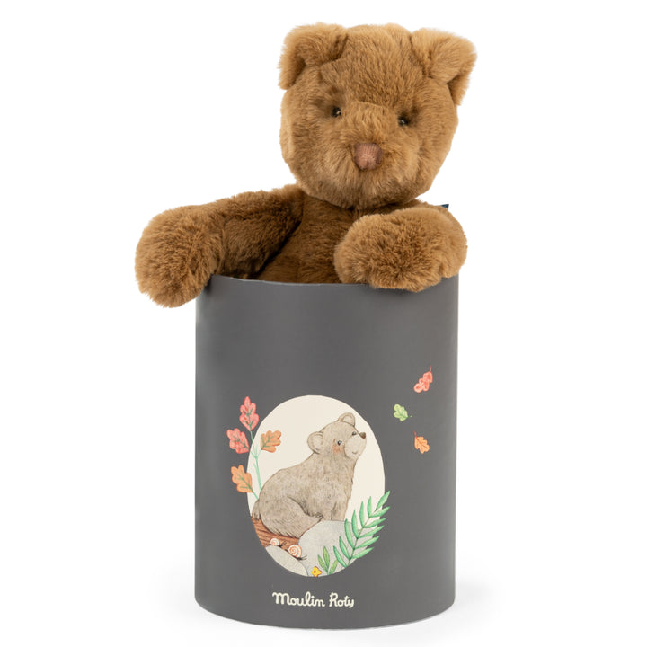 Gift Boxed Plush, Arthur Bear
