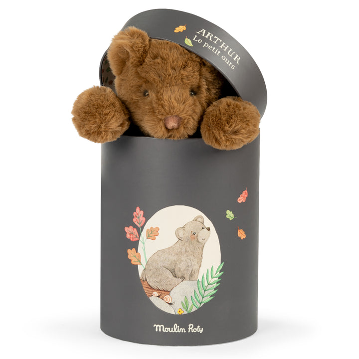 Gift Boxed Plush, Arthur Bear