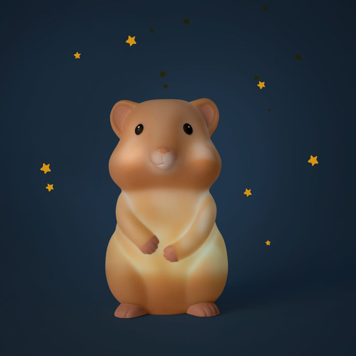 USB Rechargeable Night Light, Hamster