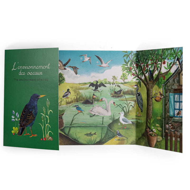 Cofanetto scoperta degli uccelli (francese/inglese)