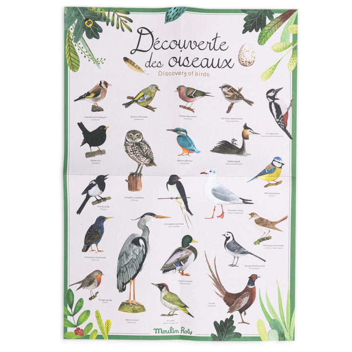 Cofanetto scoperta degli uccelli (francese/inglese)