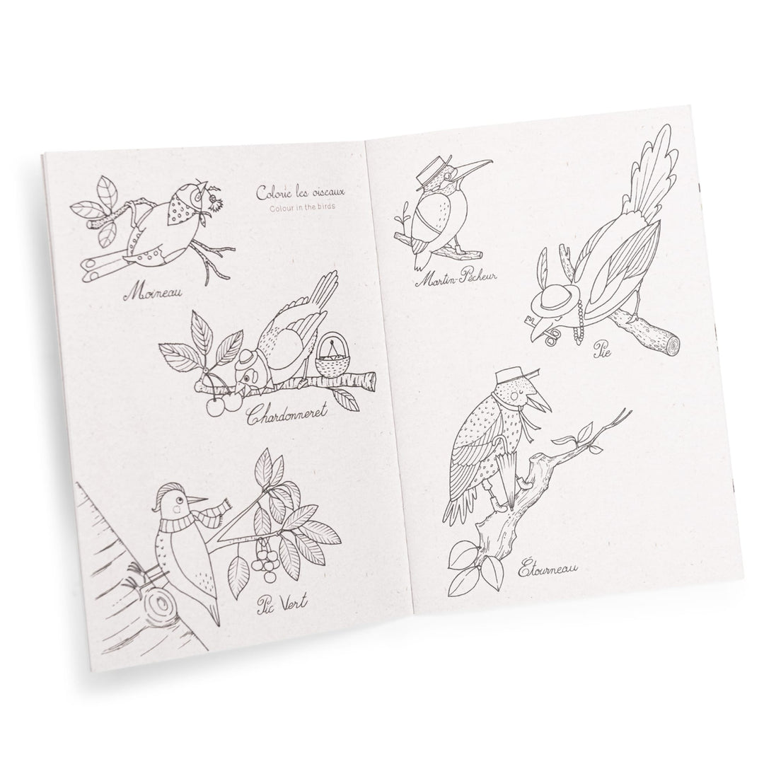 Cofanetto scoperta degli uccelli (francese/inglese)