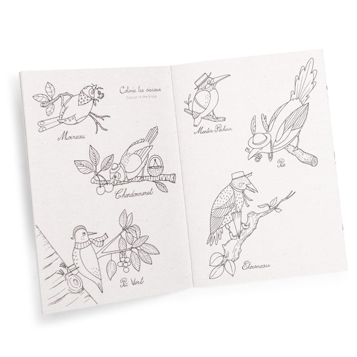Cofanetto scoperta degli uccelli (francese/inglese)