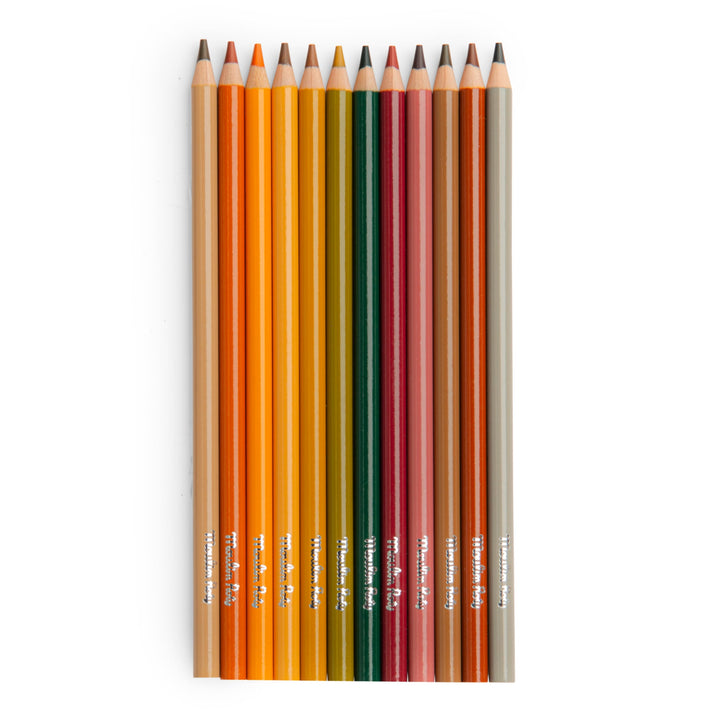 Colored pencils + papers, Animals