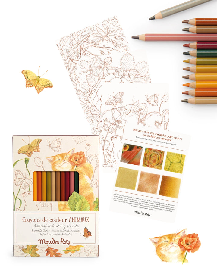 Colored pencils + papers, Animals