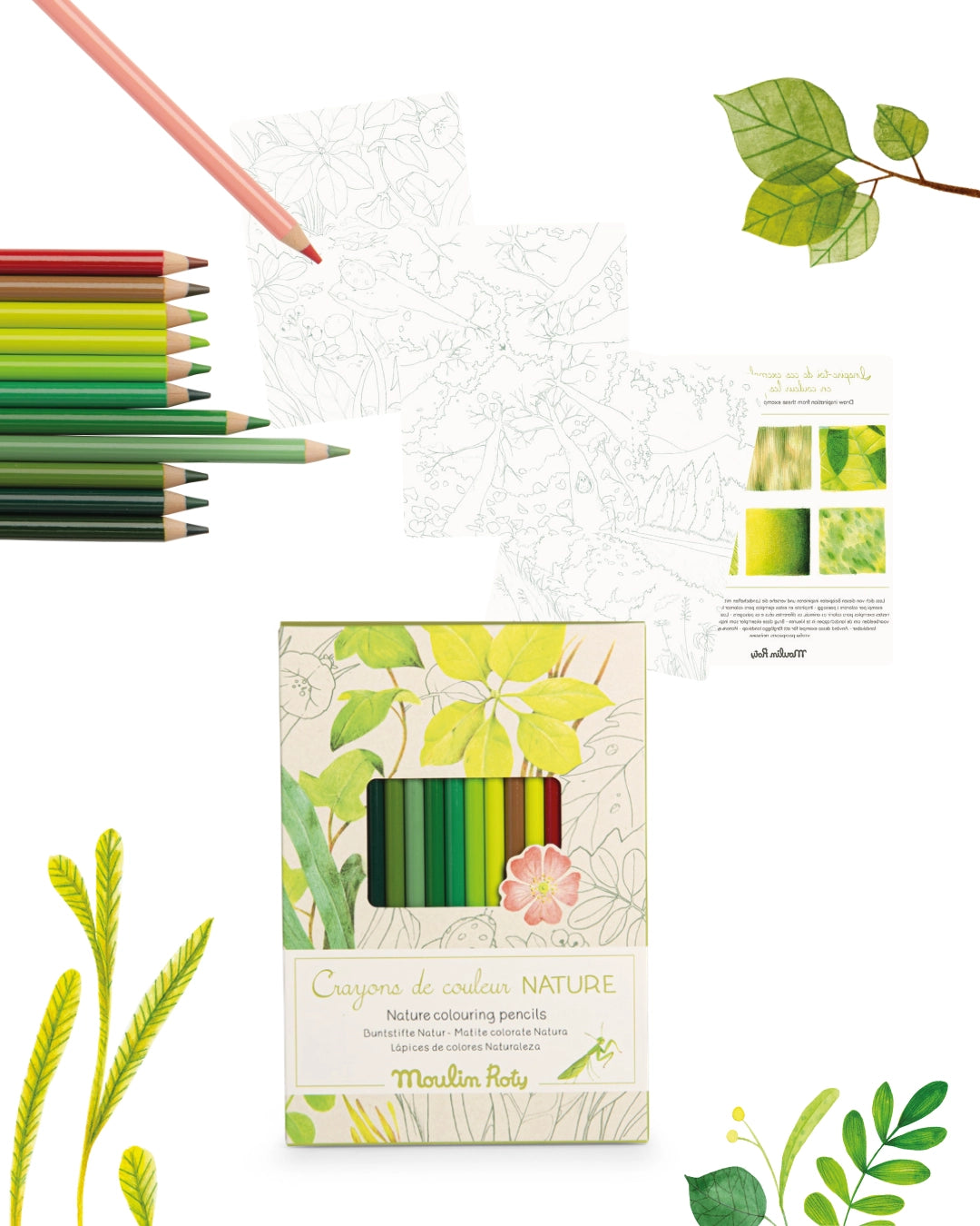 Colored pencils + papers, Nature