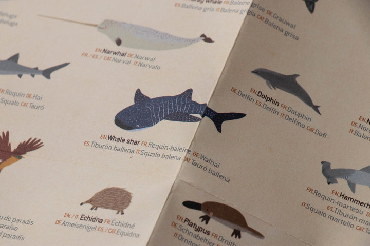 World Map Posters and Stickers, Animals of the World