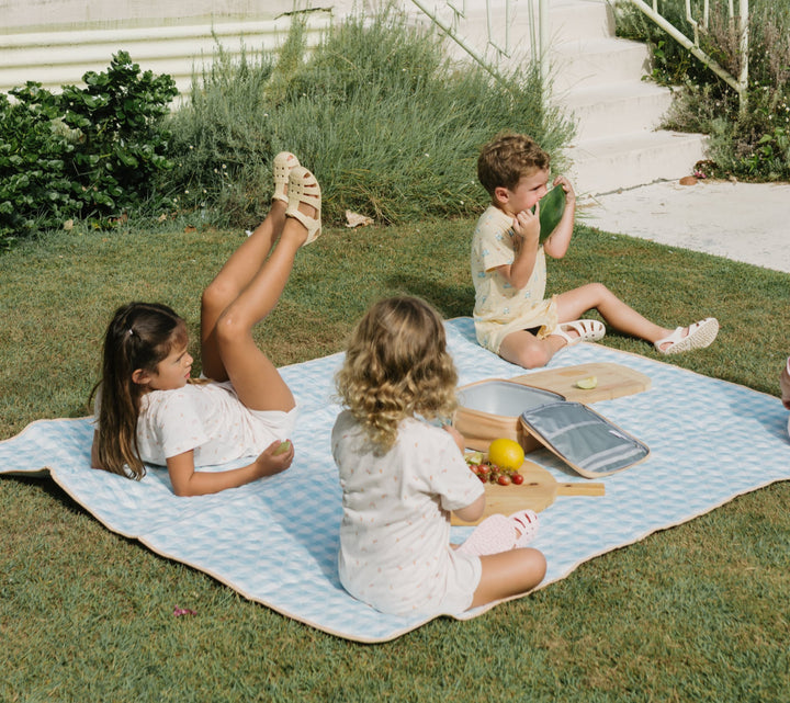 Coperta idrorepellente Picnic 140x170cm, Quadretti giallo