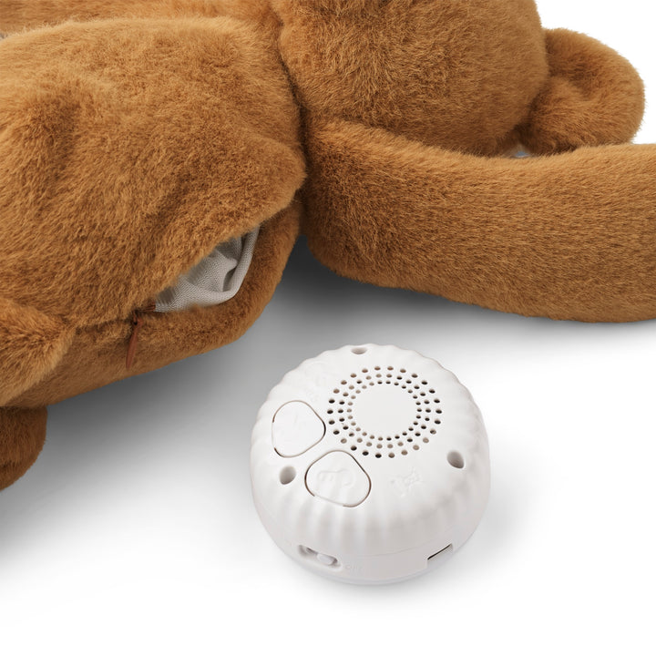 Buzzing teddy bear with light, Teddy bear