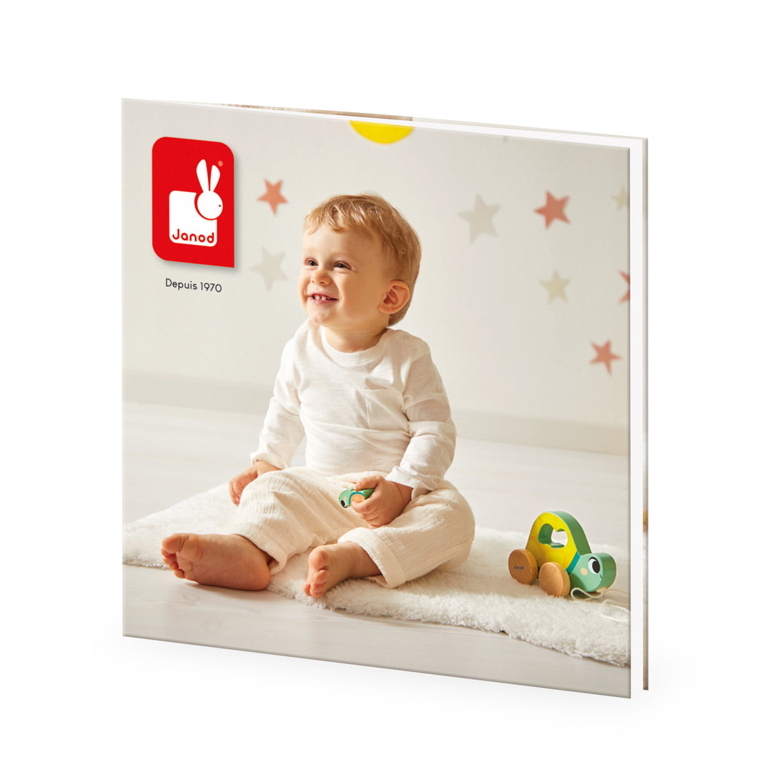 Janod box, Wooden toys for 18 months - Fine motor skills