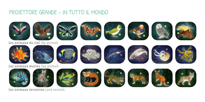 Proiettore ricaricabile degli animali del mondo