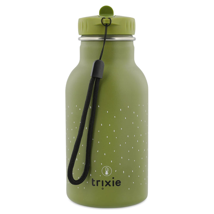 Stainless Steel Thermal Water Bottle 350ml, Dinosaur