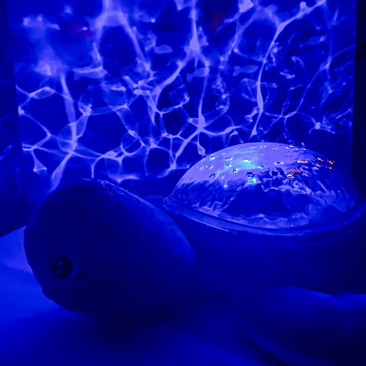 Tartaruga proiettore musicale ricaricabile, Aqua Dream | Pabobo