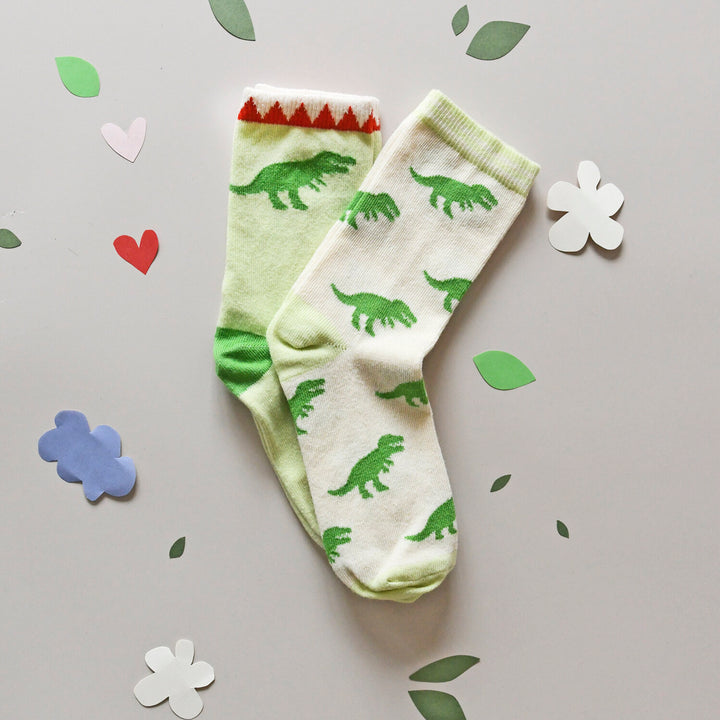 Organic Cotton Socks, 2 Pairs, Dinosaurs (3-5 Years)