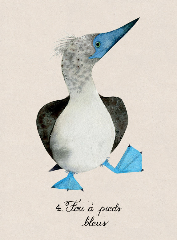 Plush blue-footed booby bird