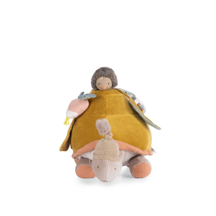 Tartaruga grande di attività
