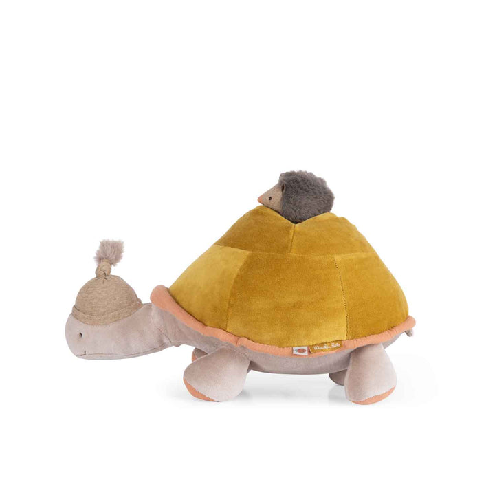 Tartaruga grande di attività