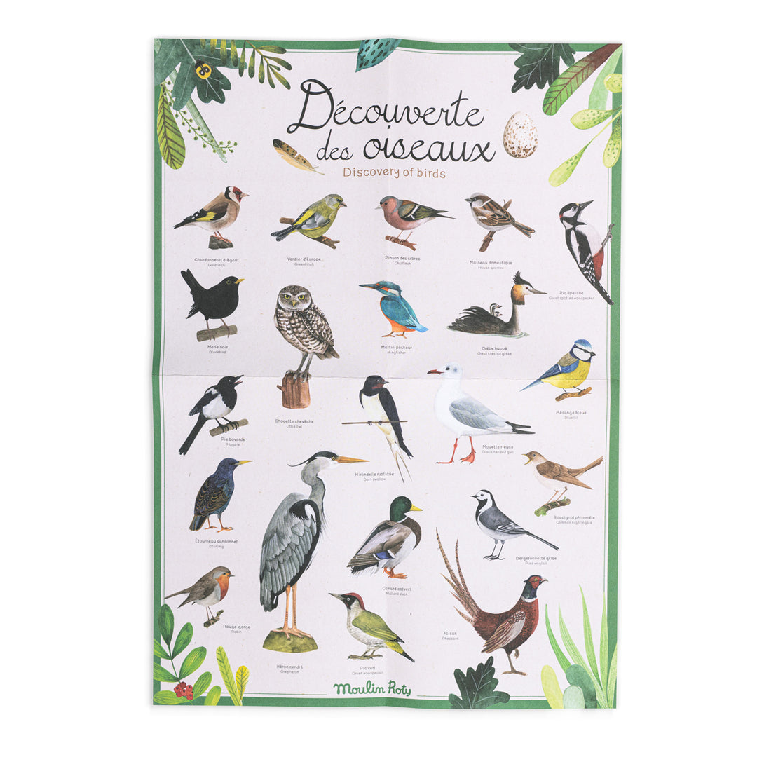 Moulin Roty | Cofanetto Scoperta degli uccelli (francese/inglese)