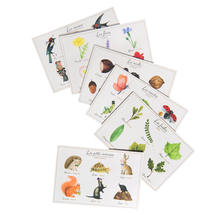 Nature bingo/lotto game