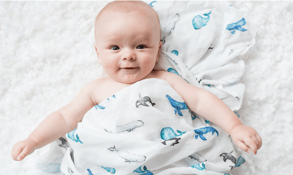Copertina Swaddle 120x120cm, Balene, Mussola Cotone Bambù | Lulujo